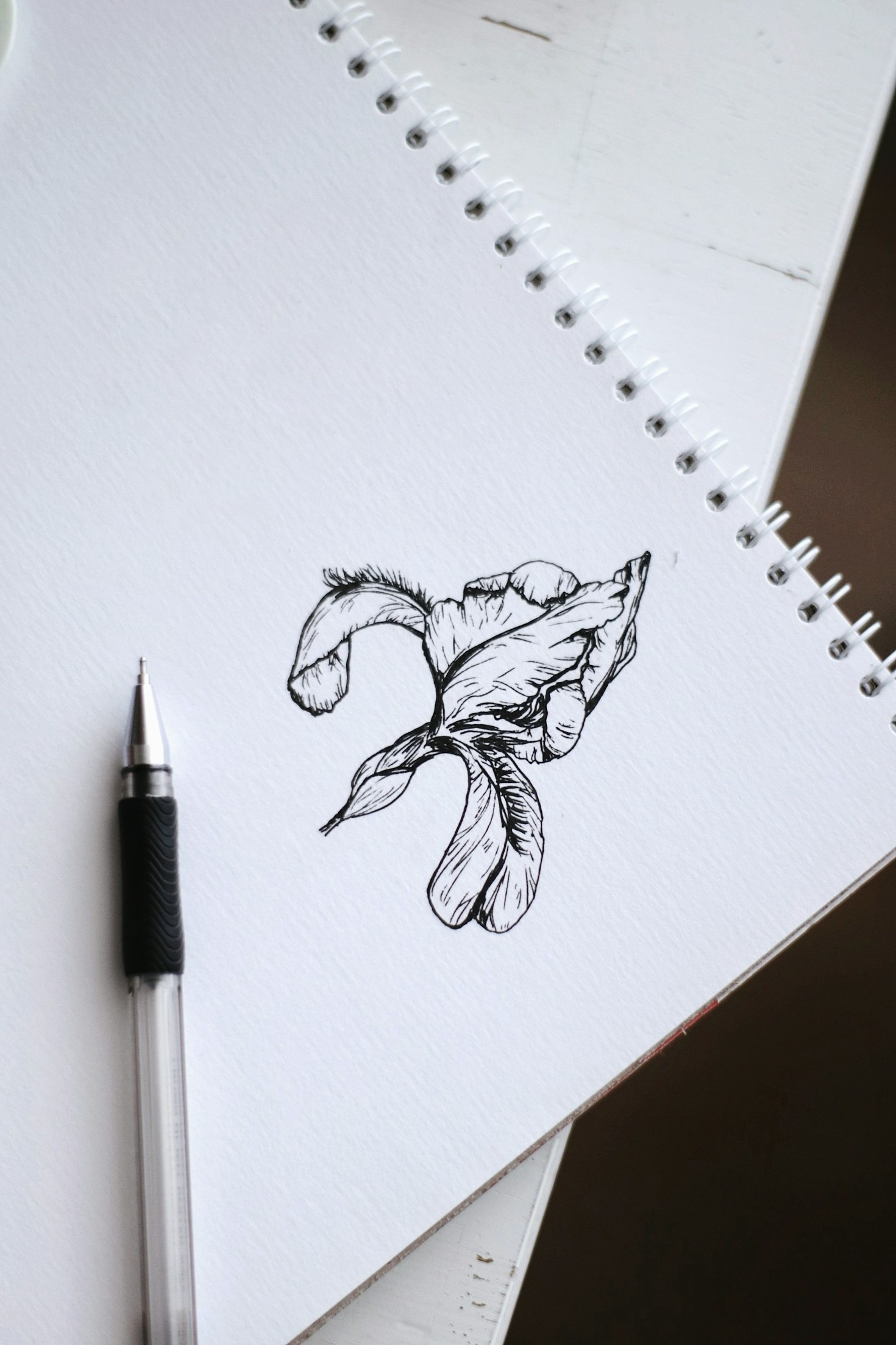 The Ultimate Guide to Choosing Paper Stock